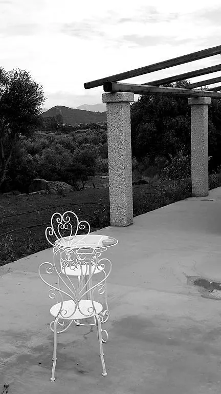 Bed and Breakfast Nacchinono à Olbia Couette-café