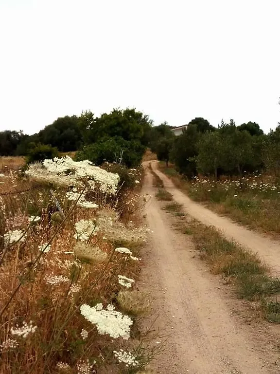 Nacchinono Bed & Breakfast Olbia