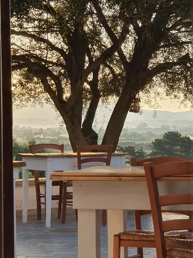 Nacchinono Bed & Breakfast Olbia
